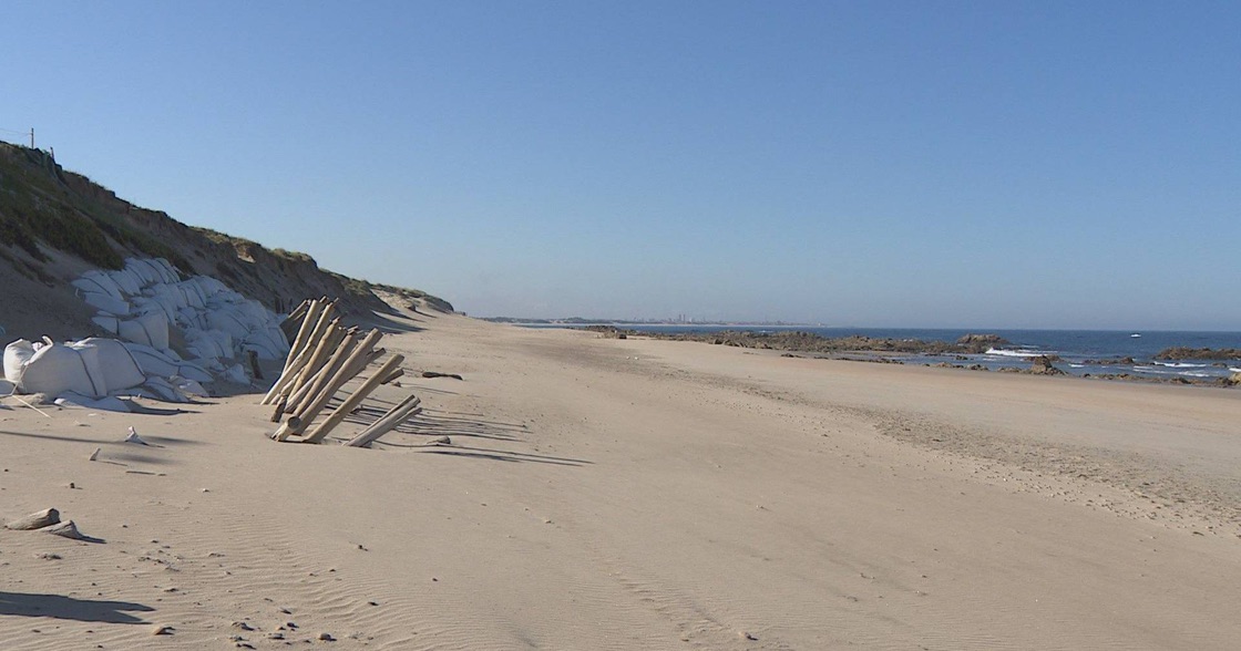 Cedovém - Surf em Esposende