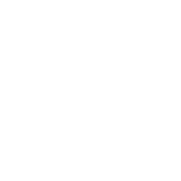 Nazaré Surf School