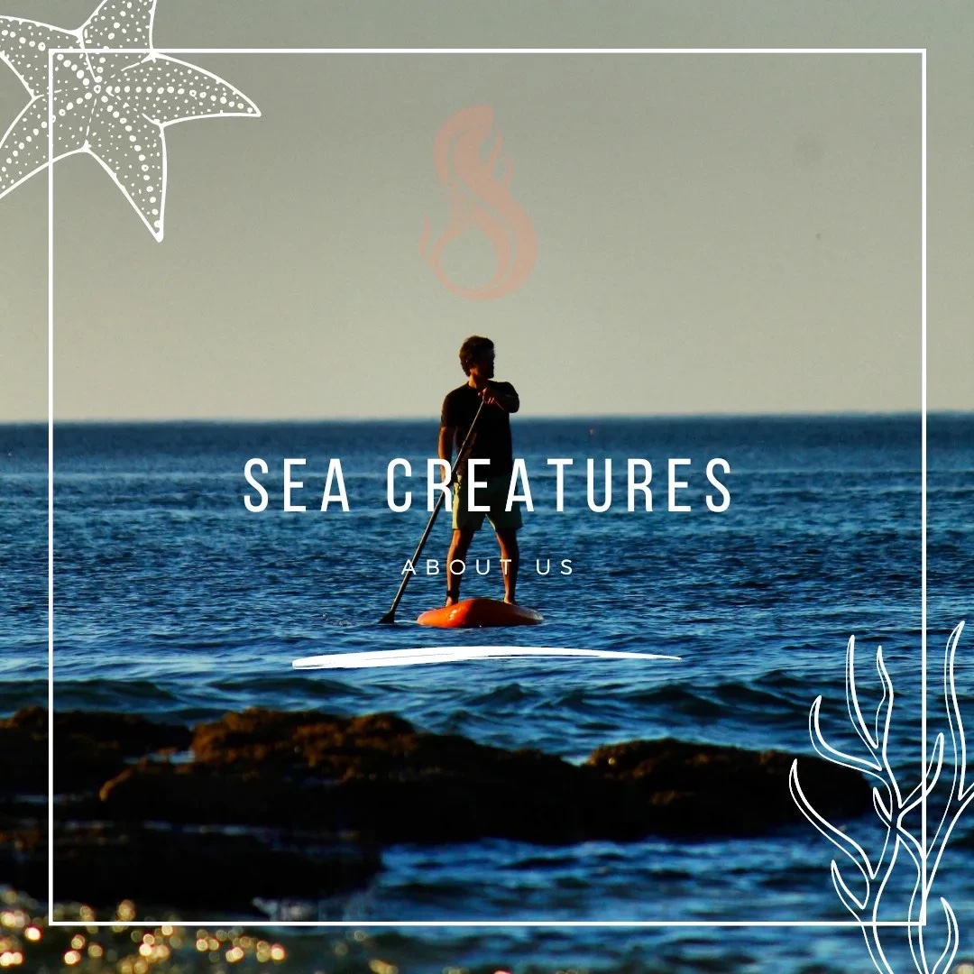 Sea Creatures — surf e SUP em Albufeira, longe das multidões