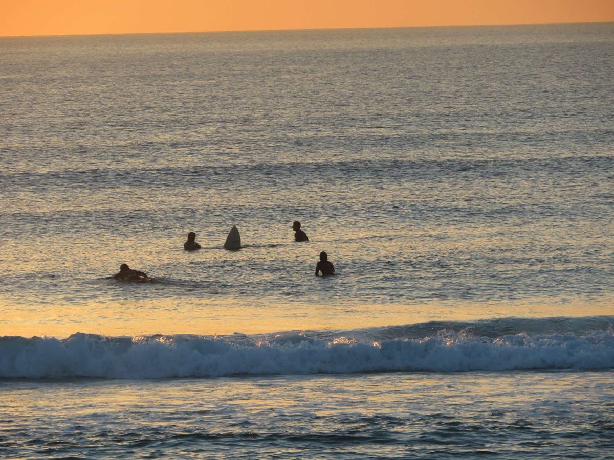 Rompeolas Surf School Caparica